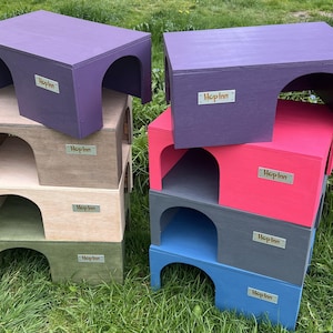 Hop Inn Guinea Pig House Extra Large – Two Entrances, Pet Safe Paints, Mould Resistant