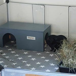 Guinea Pig House Hideout | Wooden, Double Entrance, Wipe Clean, Pet Friendly Paints and Stains, Mould Resistant (Readymade) afbeelding 15