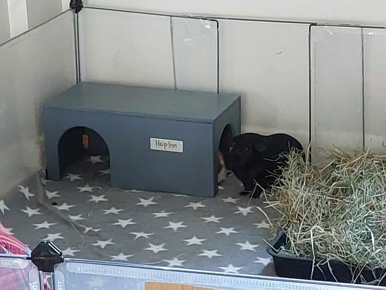 Guinea Pig House Hideout | Wooden, Double Entrance, Wipe Clean, Pet Friendly Paints and Stains, Mould Resistant (Readymade) afbeelding 15