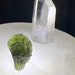 see more listings in the Moldavite  section