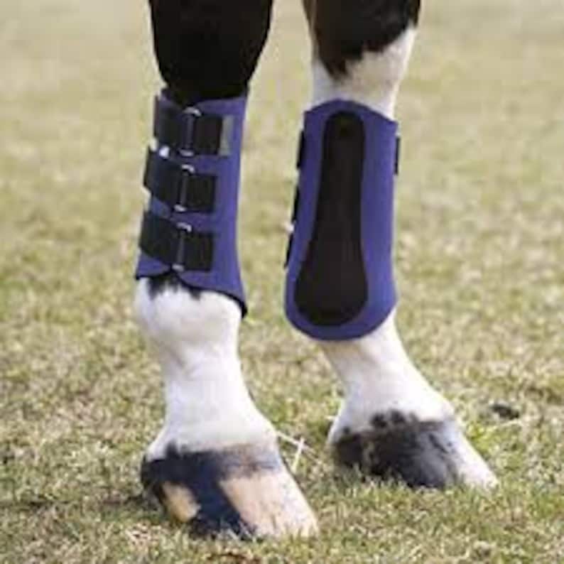 May include: A pair of purple horse leg wraps with black straps and velcro closures. The wraps are made of a soft, padded material and are designed to protect the horse's legs from injury.