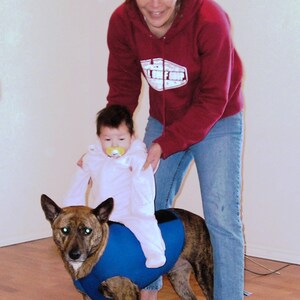 May include: A woman in a red hoodie and blue jeans is holding a small child wearing a pink outfit. The child is sitting on a brown and black dog wearing a blue vest. The dog is looking at the camera.