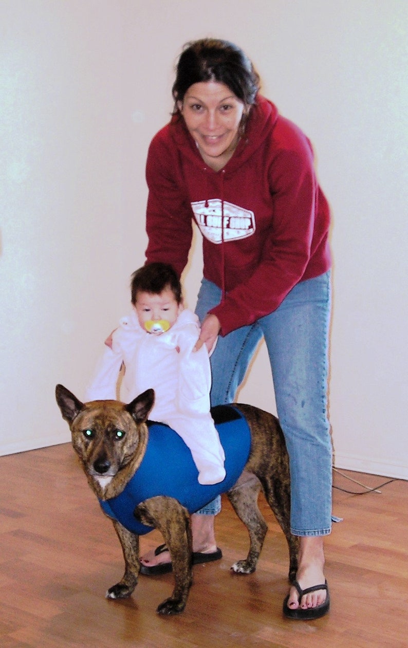 May include: A woman in a red hoodie and blue jeans is holding a small child wearing a pink outfit. The child is sitting on a brown and black dog wearing a blue vest. The dog is looking at the camera.