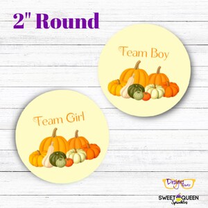 Puede incluir: Dos pegatinas redondas de 5 cm de diámetro con un tema otoñal. Una pegatina dice "Team Boy" y la otra dice "Team Girl". Ambas pegatinas presentan un grupo de calabazas y calabacines en tonos naranja, verde y blanco.