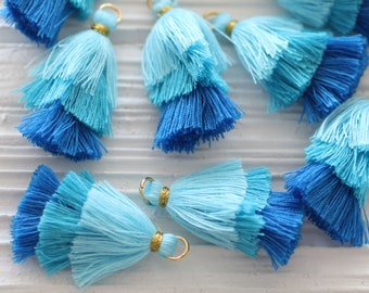 Tassels / Feather / Poms