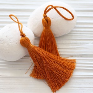 Könnte beinhalten: Zwei orangefarbene Quasten-Ornamente vor einem weißen Hintergrund. Die Quasten bestehen aus weichen, seidenartigen Fäden und haben ein schlichtes, elegantes Design.