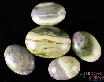 SERPENTINE Crystal Palm Stone - Worry Stone, Self Care, Healing Crystals and Stones, E2027