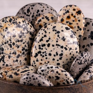 DALMATIAN JASPER Crystal Palm Stone - Worry Stone, Self Care, Healing Crystals and Stones, E1649