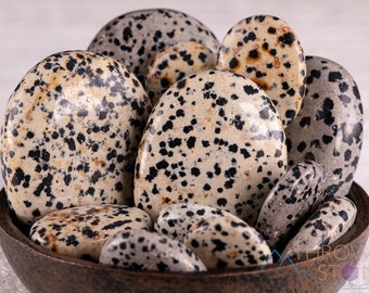 DALMATIAN JASPER Crystal Palm Stone - Worry Stone, Self Care, Healing Crystals and Stones, E1649