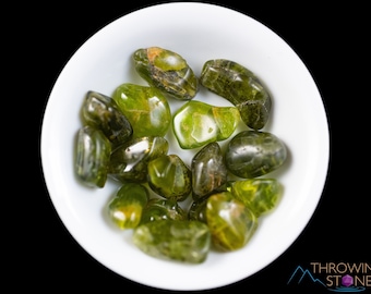 PERIDOT Crystal Chips - Small Tumbled Crystals, Birthstones and Gemstones for Jewelry Making, E0739