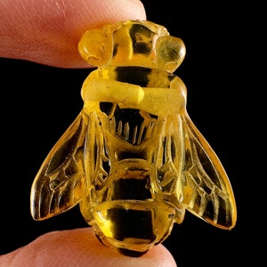 Honey AMBER Bee Pendant - Crystal Carving, Crystal Pendant, Handmade Jewelry, Healing Crystals and Stones, 54372