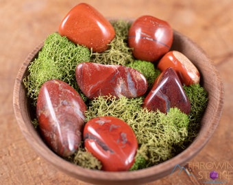 RED JASPER Tumbled Stones - Tumbled Crystals, Self Care, Healing Crystals and Stones, E0021