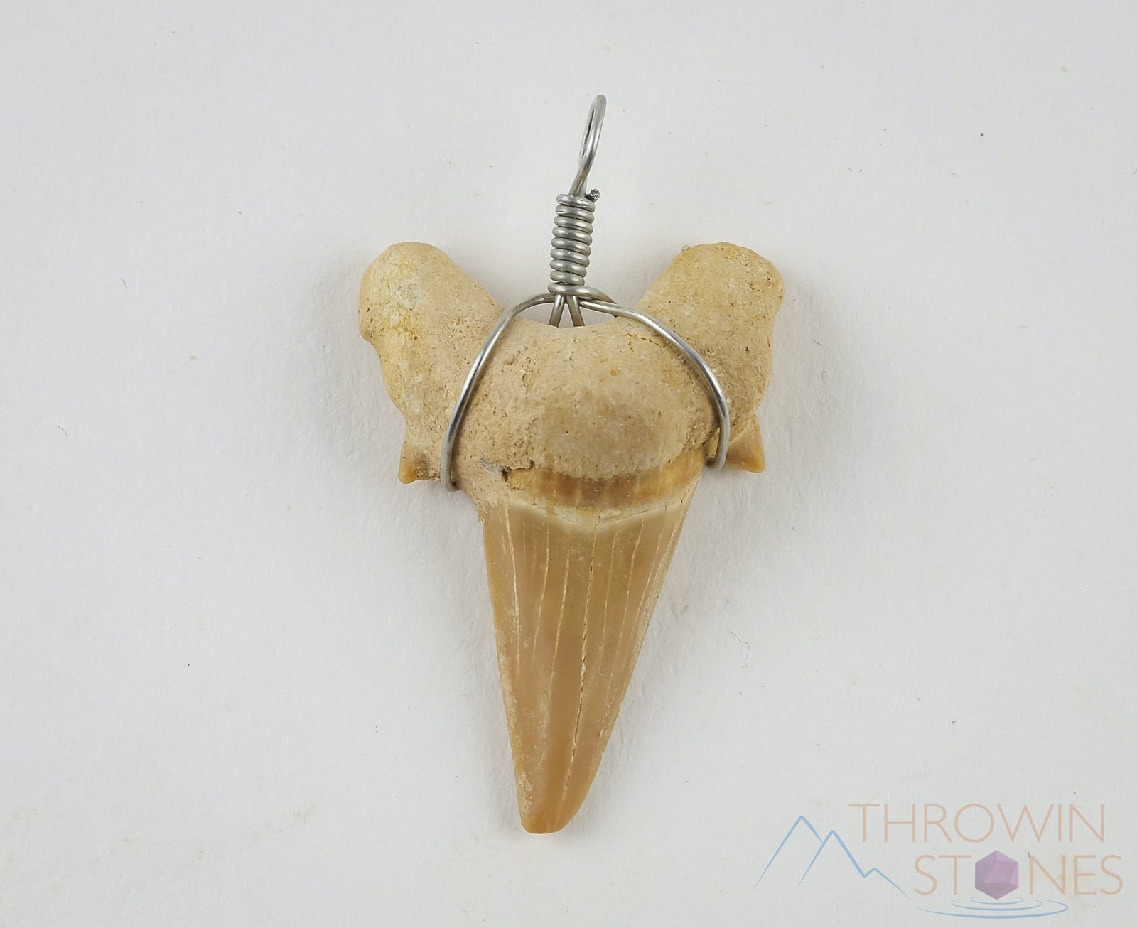 SHARK TOOTH Pendant Otodus Fossil Shark 