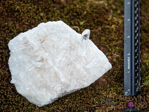 ヒマラヤ水晶、原石の水晶クラスター - 新築祝いのギフト、室内