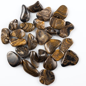 STROMATOLITE Fossil Tumbled Stones - Tumbled Crystals, Self Care, Healing Crystals and Stones, E1105