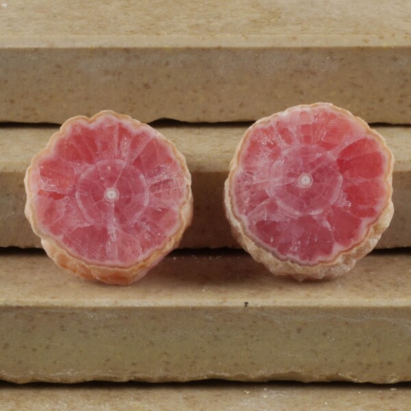 25ct Rhodochrosite Crystal Stalactite Slices from Capillitas Mine, Argentina - Perfect for Pink Rhodochrosite Jewelry or Wire Wrap 35862