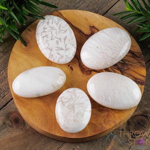 SCOLECITE Crystal Palm Stone - Worry Stone, Self Care, Healing Crystals and Stones, E0837