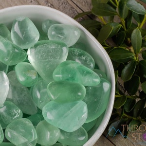 Green FLUORITE Tumbled Stones - Tumbled Crystals, Self Care, Healing Crystals and Stones, E0962