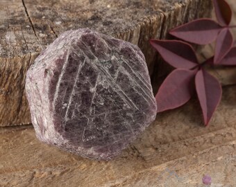 RUBY Raw Crystal - Record Keeper Crystal, Corundum, Hexagon - Birthstone, Gemstone, Raw Ruby Stone, E0063