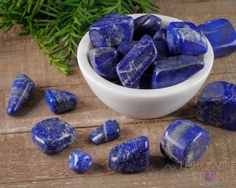 LAPIS LAZULI Tumbled Stones - Tumbled Crystals, Self Care, Healing Crystals and Stones,  E1178