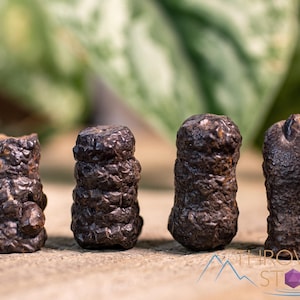 Elongated PROPHECY Stone  :  Raw Crystal Limonite After Marcasite Pseudomorph Specimen For Rock Collecting, E1840