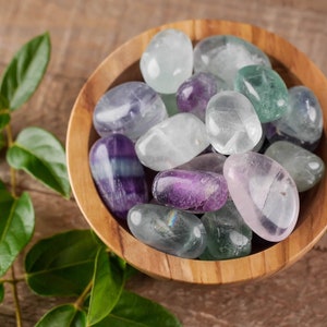 FLUORITE Tumbled Stones - Tumbled Crystals, Self Care, Healing Crystals and Stones, E0473
