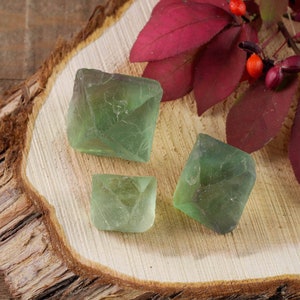 Raw Green FLUORITE Crystal Octahedron - Metaphysical Home Decor, Raw Rocks and Minerals,  E0559