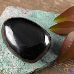 JET Tumbled Stones - Petrified Wood, Fossilized Black Amber - Tumbled Crystals, Self Care, Healing Crystals and Stones, E0336