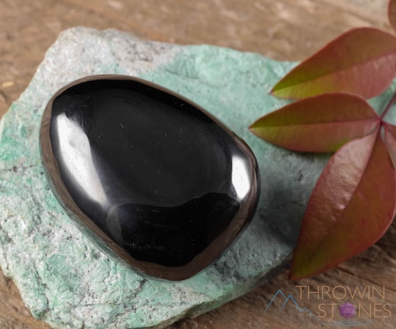 JET Tumbled Stones Petrified Wood Fossilized Black Amber Tumbled Crystals Self Care Healing Crystals and Stones E0336
