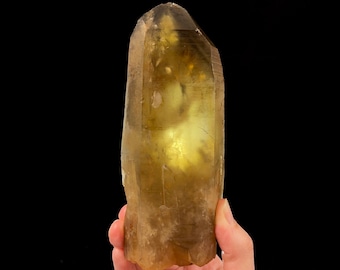 May include: A large, clear, golden citrine crystal point with a natural, raw, and unpolished finish. The crystal is approximately 6 inches tall and has a light yellow color.