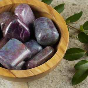 RUBY + KYANITE Tumbled Stones  :   2-3 Polished Pocket Rocks, Natural Red, Blue Crystals, E0218