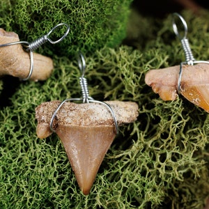 SHARK TOOTH Pendant - Otodus Fossil, Shark Teeth,  Wire Wrapped Jewelry, Necklace Earrings, Jewelry Making, E0048