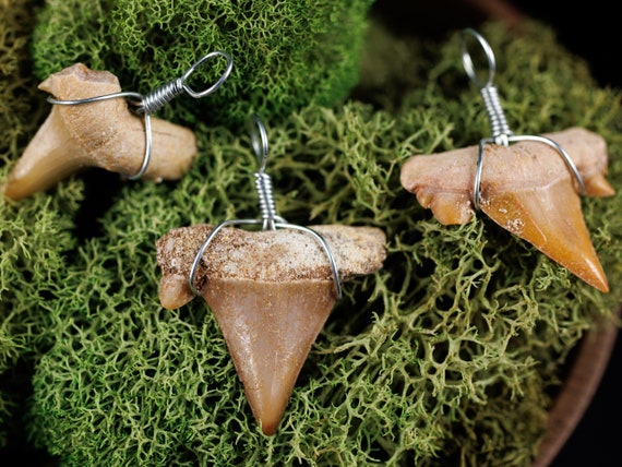 Etsy store tooth necklace