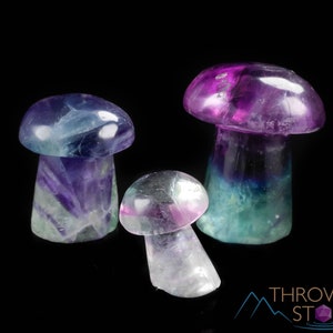 Rainbow FLUORITE Crystal Mushroom - Fluorite Figurines, Crystal Carving, Hippie Home Decor, E1597