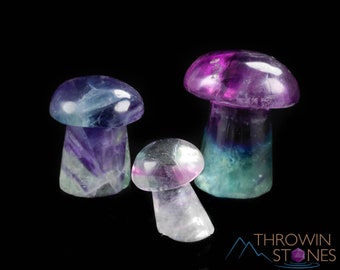 Rainbow FLUORITE Crystal Mushroom - Fluorite Figurines, Crystal Carving, Hippie Home Decor, E1597