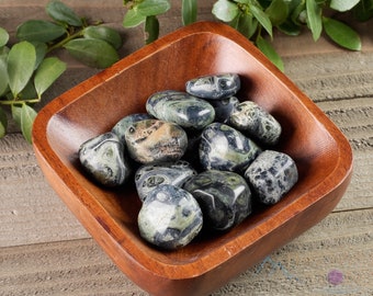 KAMBABA JASPER Tumbled Stones - Tumbled Crystals, Self Care, Healing Crystals and Stones, E1033