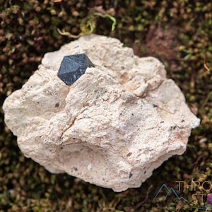 MORION SMOKY QUARTZ Raw Crystal Cluster - Housewarming Gift, Home Decor, Raw Crystals and Stones, 39864