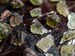 MOLDAVITE - Mini - Raw Moldavite Crystal, Genuine Moldavite Stone,  E1849 