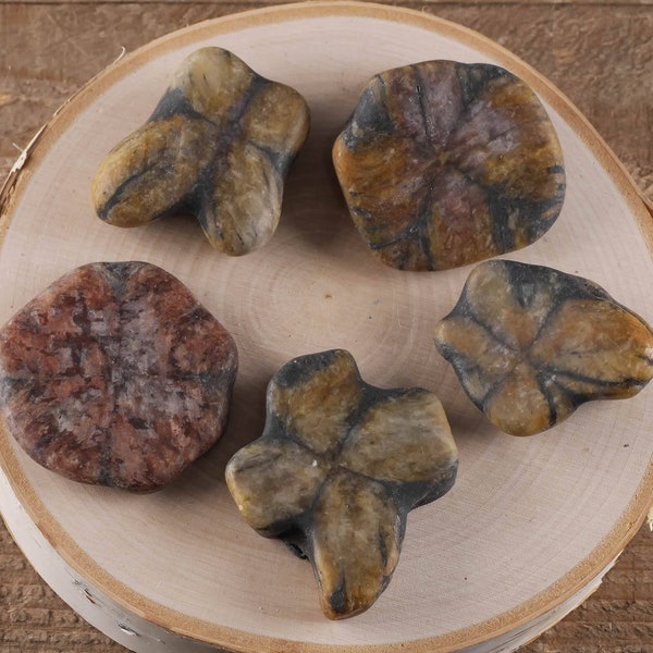 One Large CHIASTOLITE Crystal Slice - Andalusite with Carbon Graphite Inclusion, Cross Stone, Healing Stone, Healing Crystal E0448