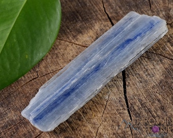 Raw Blue KYANITE Crystal  :  Rough Gemstone Blades For Jewelry Making, Rock Collecting, E0762