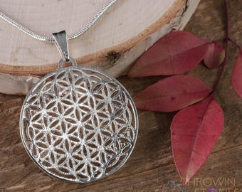 May include: A silver-colored pendant necklace featuring a circular, openwork design. The pendant is suspended from a thin, silver chain. The background includes a wooden surface and red leaves, creating a natural aesthetic. The pendant's design is geometric.