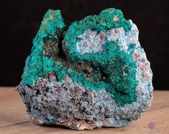 Dioptase sobre shattuckita com aglomerado de cristais drusa de quartzo - Espécime mineral bruto do Congo, 39216