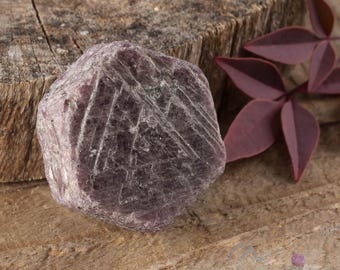 RUBY Raw Crystal With Record Keeper  :  Natural Hexagon Corundum Birthstone, Sacred Geometry, E0063