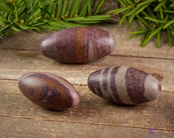 SHIVA LINGAM Japser Crystal Egg - Palm Stone, Self Care, Healing Crystals and Stones, E1603