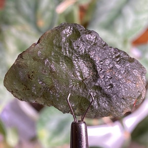 MOLDAVITE Raw Crystal - 10.4g - Raw Moldavite Crystal, Genuine Moldavite Stone, 44298