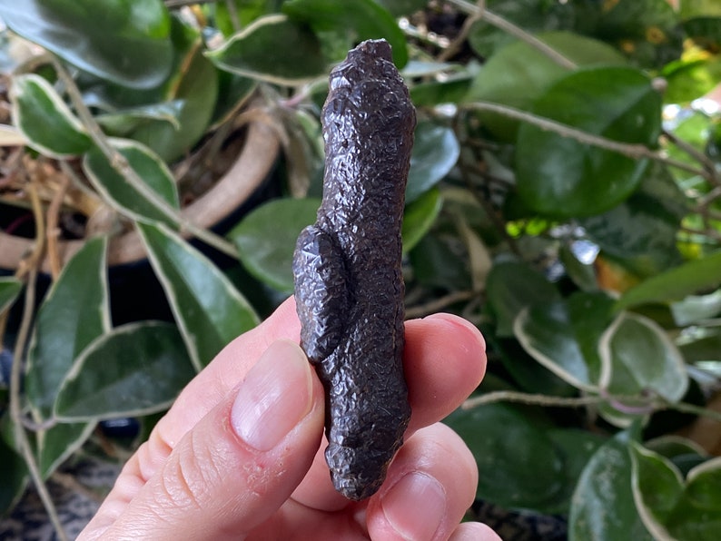 Housewarming Gift PROPHECY Stone 42159 Home Decor LIMONITE after MARCASITE Raw Crystals and Stones Pseudomorph Elongated