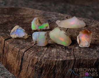 Raw WELO OPAL Crystals  :  A Grade, Small Bulk Natural Rough Lot Rock Collection, E0088