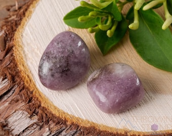 LEPIDOLITE Tumbled Stones - Tumbled Crystals, Self Care, Healing Crystals and Stones, E0036