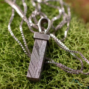 May include: A silver-colored pendant necklace featuring a rectangular, textured pendant suspended from a delicate chain. The pendant has a unique pattern and is displayed against a backdrop of green moss. The necklace is a piece of jewelry.
