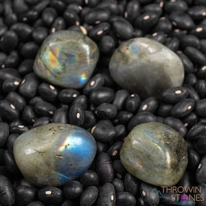 Regenboogblauwe LABRADORITE-kristallen: natuurlijke getrommelde helende stenen met flits, E0210
